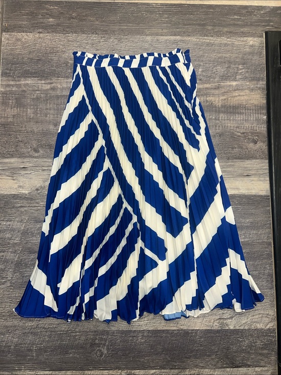 Anthropologie Dresses & Skirts - Anthropologie Blue White Pleated Chevron Midi Skirt M